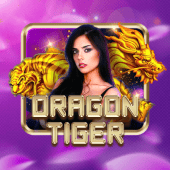 Dragon Tiger - n777 download apk